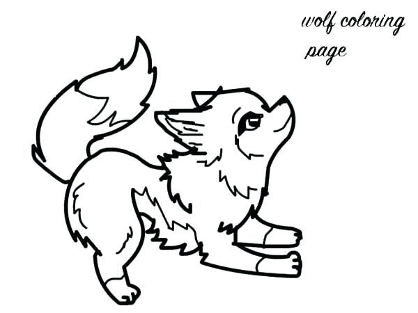 600x450 Charming Printable Wolf Coloring Pages Baby Fox Coloring Pages