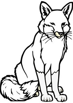 237x336 Coloring Pages. Fox Coloring Book