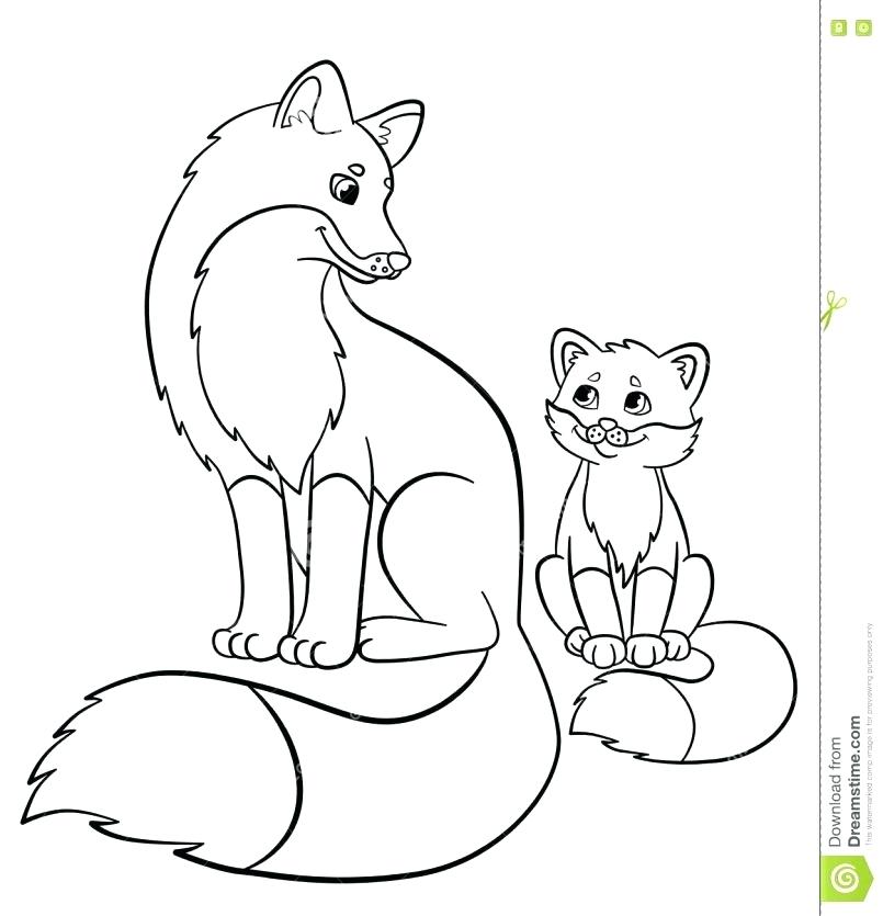 Fox Coloring Pages For Adults