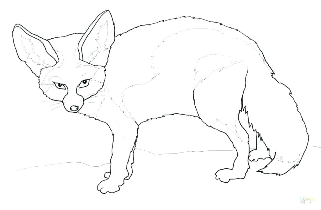1024x669 Red Fox Coloring Pages Fox Coloring Pages Packed With Fox Coloring