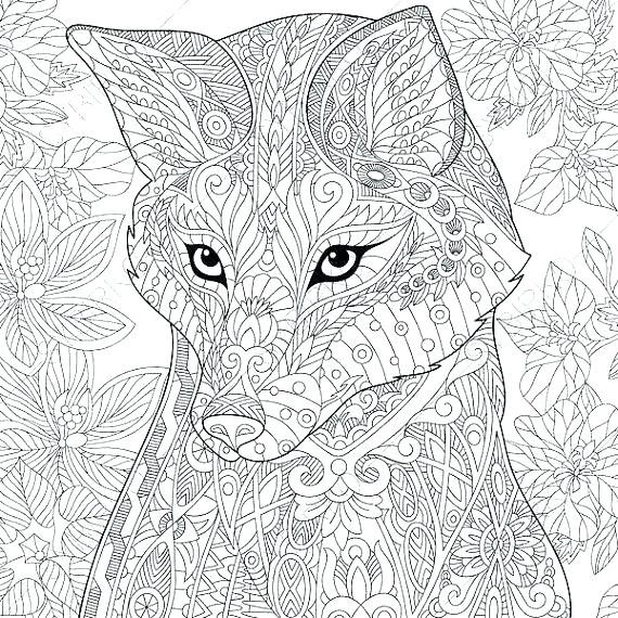 570x570 Red Fox Coloring Pages Red Fox Trail Coloring Pages Page Online
