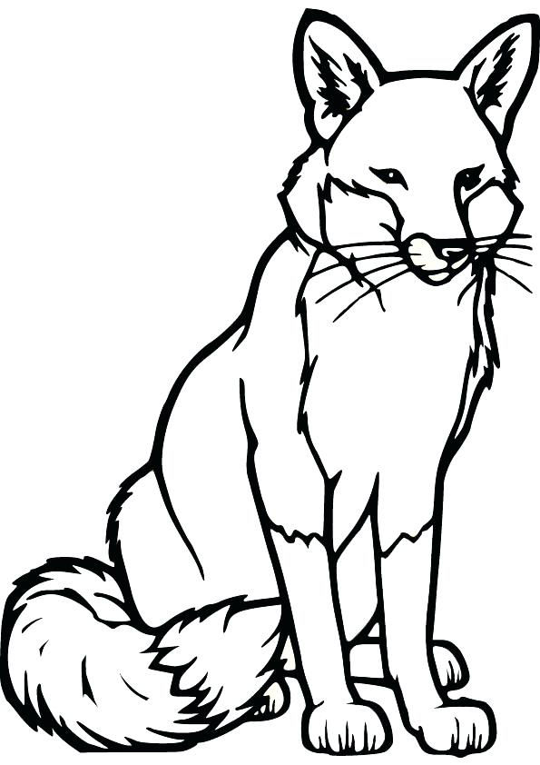 Fox Coloring Pages 595x842 Fox Coloring Pages
