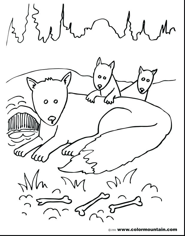 618x787 Fox And The Hound Coloring Pages Extraordinary Fox Family Coloring