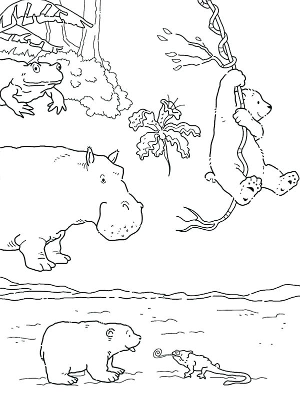 600x827 Arctic Animals Coloring Pages Arctic Scene Coloring Pages Baby