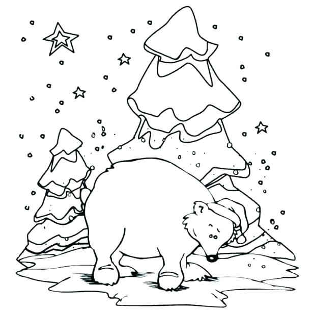 615x612 Arctic Animals Coloring Pages With Arctic Coloring Pages Arctic