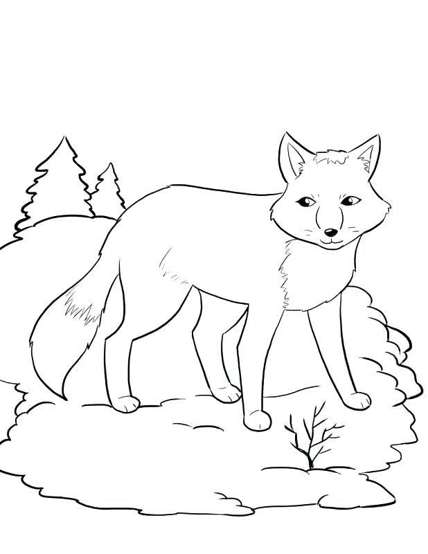 Fox Socks Coloring Pages Socks Coloring Page Collection Fox 618x800 Fox Socks Coloring Pages Socks Coloring Page Collection Fox