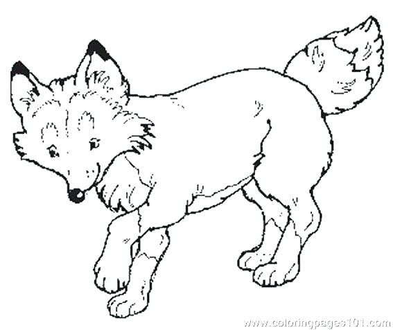 Mittens Coloring Page Mittens Coloring Pages The Mitten Coloring 567x476 Mittens Coloring Page Mittens Coloring Pages The Mitten Coloring