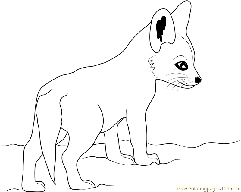 Baby Fox Coloring Pages Brilliant Cute Baby Fox Dot To Dot Free 800x637 Baby Fox Coloring Pages Brilliant Cute Baby Fox Dot To Dot Free