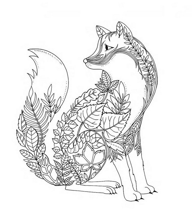 Fox Coloring Pages For Adults 750x849 Fox Coloring Pages For Adults