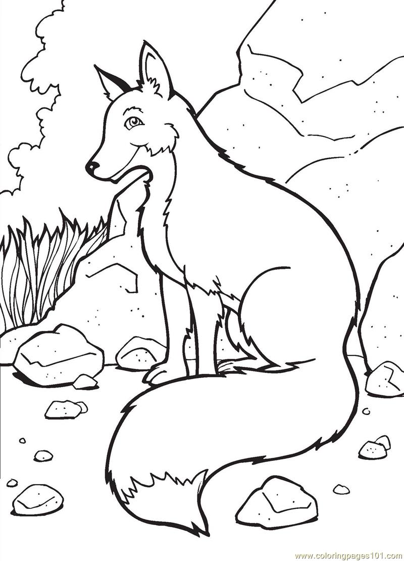 Fox Coloring Pages Coloring Pages Fox (Mammals Gt Fox) 800x1110 Fox Coloring Pages Coloring Pages Fox (Mammals Gt Fox)