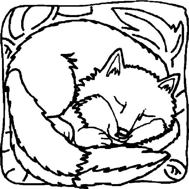 652x652 Coloring Page Animal Coloring Page Fox