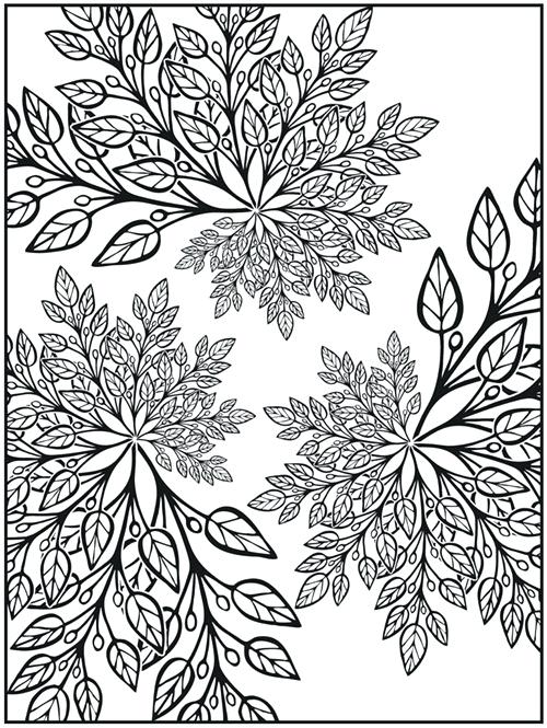 Fractal Coloring Pages Sampler Creative Haven Nature Fractals 500x665 Fractal Coloring Pages Sampler Creative Haven Nature Fractals