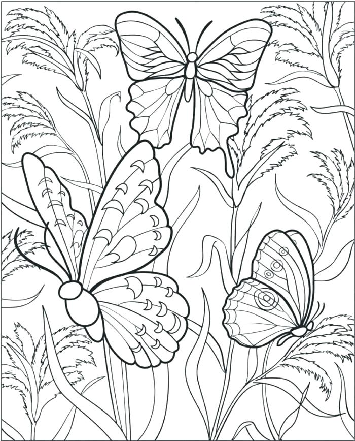 700x868 Butterfly Coloring Pages Adults Butterfly Coloring Pages