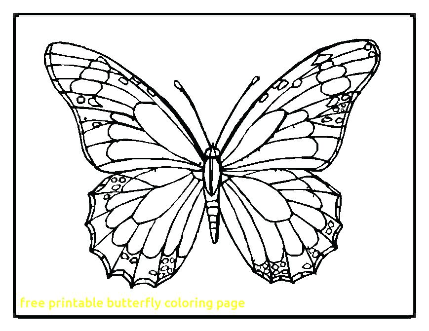 869x671 Free Printable Butterfly Coloring Pages Free Printable Butterfly