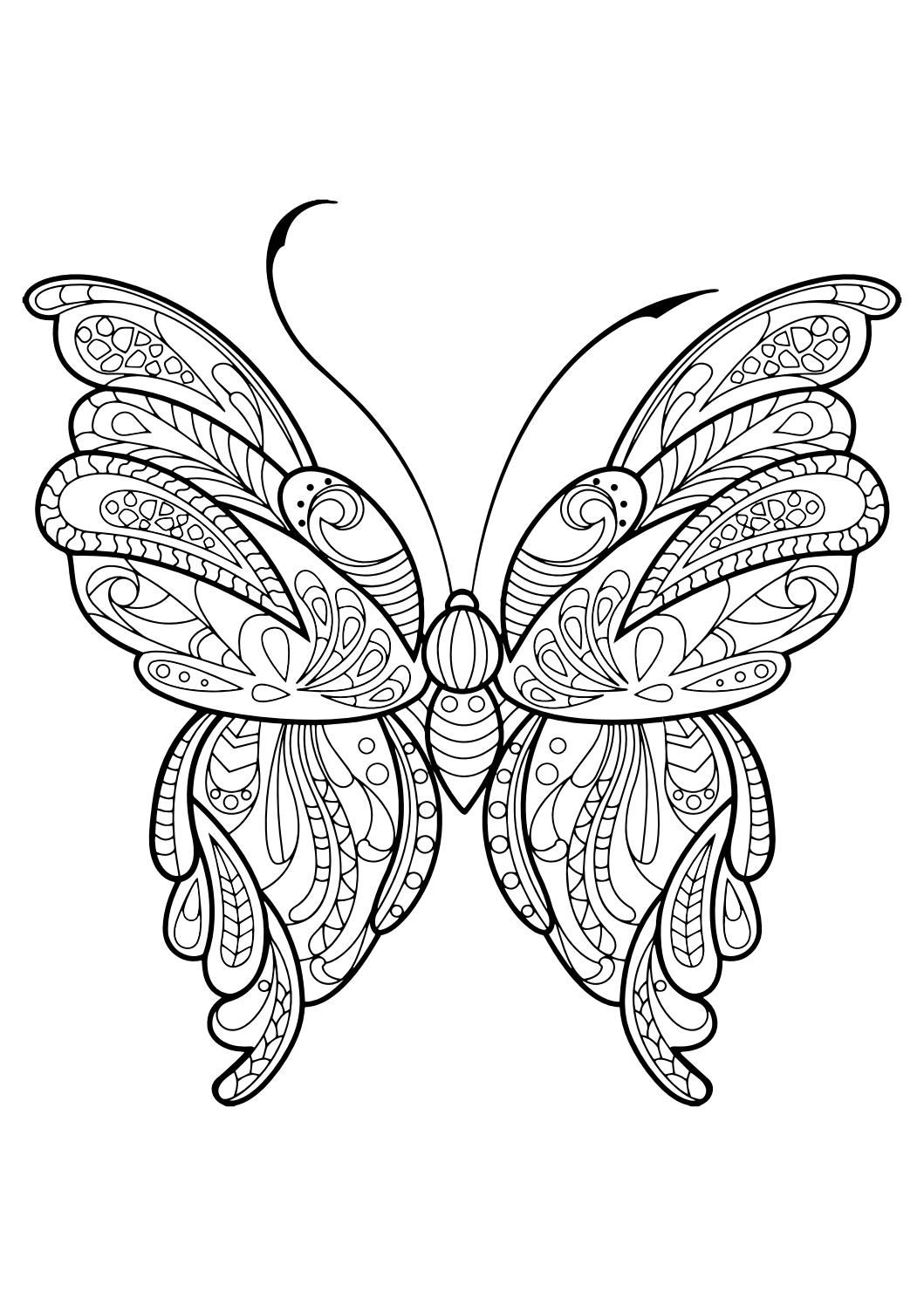 1059x1497 New Easy Butterfly Adult Coloring Pages Design Printable