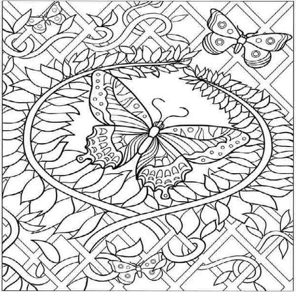 600x592 Butterfly Coloring Pages Adults Free Printable Butterfly Coloring