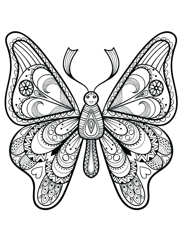 618x816 Butterfly Coloring Pages Free Shippa.co