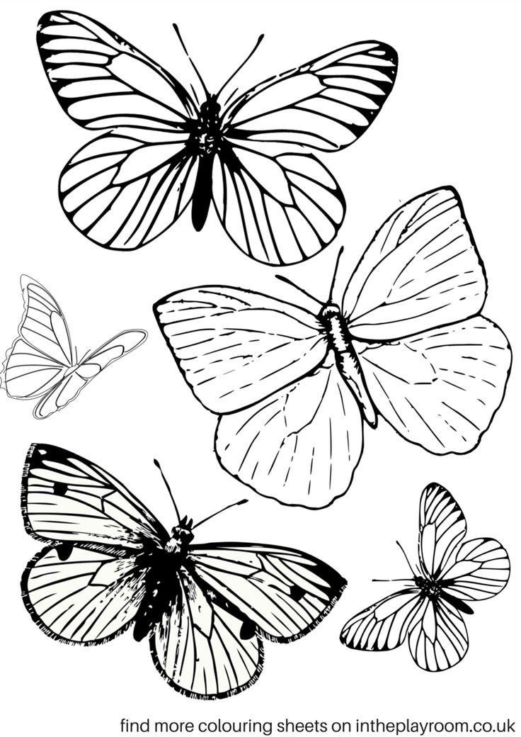 736x1040 Free Printable Coloring Sheets For Adults Butterfly Free Printable
