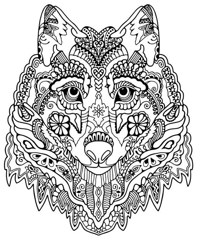 Adult Coloring Pages Animals Learning Printable 657x800 Adult Coloring Pages Animals Learning Printable