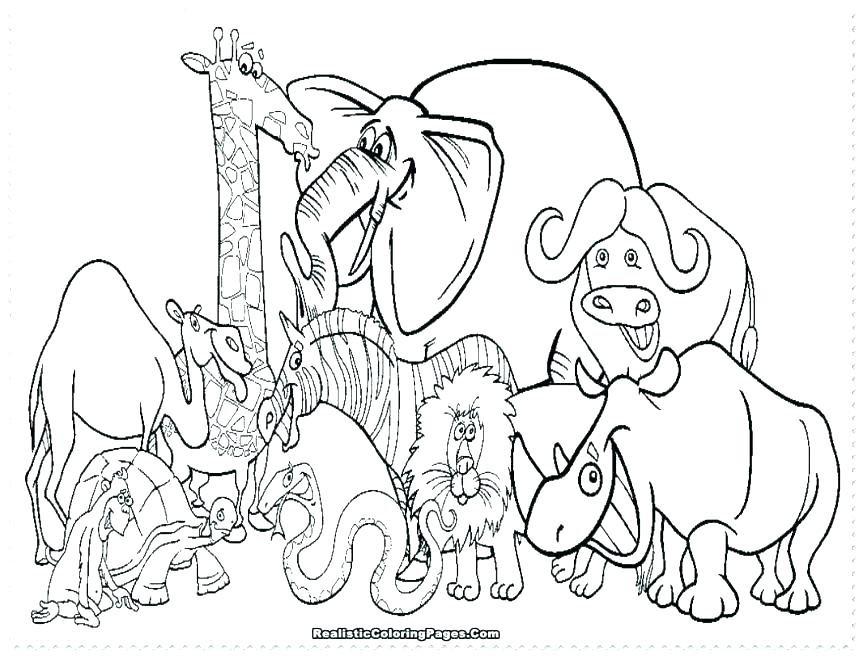Printable Animal Coloring Pages For Adults 863x656 Printable Animal Coloring Pages For Adults