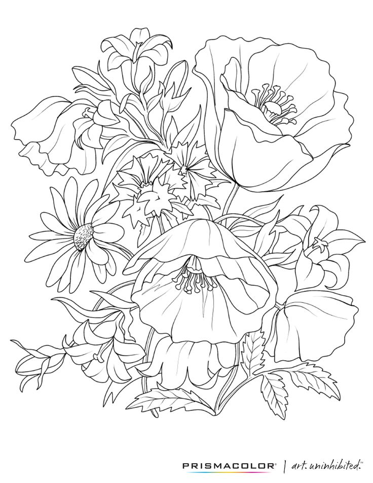 Free Adult Coloring Pages Flowers