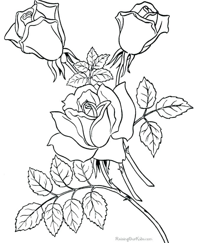 670x820 Coloring Book Pages Flowers Coloring Archives Page 7 Of Free Adult