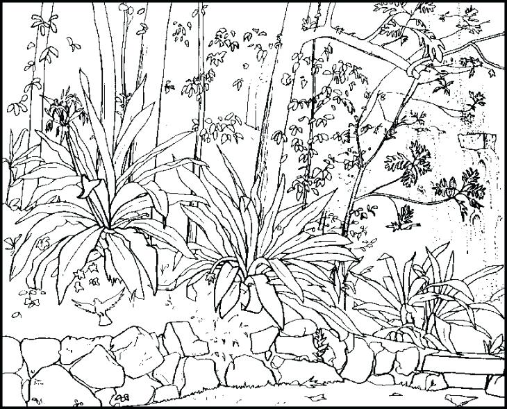 Free Adult Coloring Pages Pdf Plus Free Printable Nature Coloring 730x589 Free Adult Coloring Pages Pdf Plus Free Printable Nature Coloring