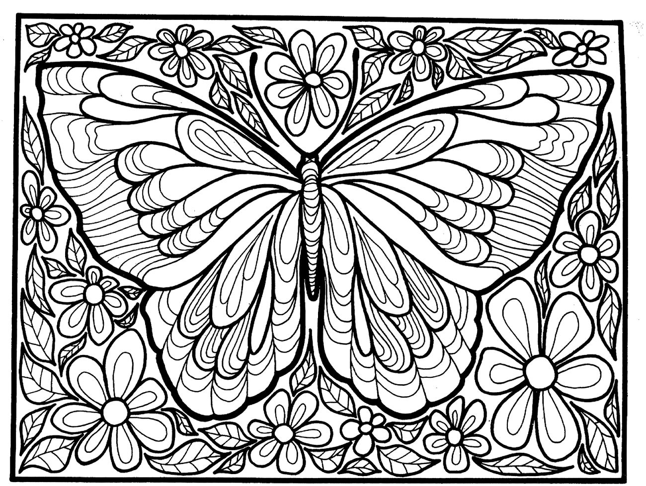 New Easy Butterfly Adult Coloring Pages Design Printable 1300x979 New Easy Butterfly Adult Coloring Pages Design Printable