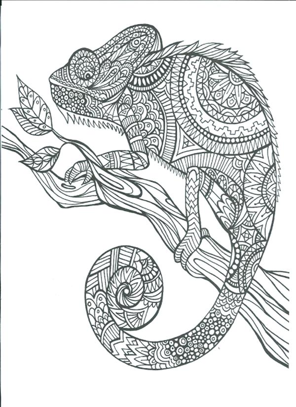 Printable Adult Coloring Book And Coloring Book Pages Printable 600x825 Printable Adult Coloring Book And Coloring Book Pages Printable