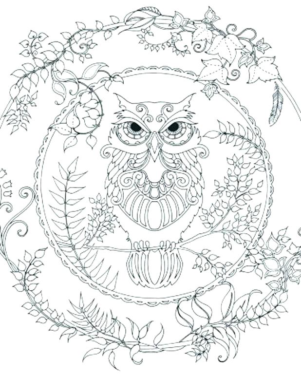 Wolf Coloring Sheets Wolf Coloring Pages To Print Wolf Coloring 618x772 Wolf Coloring Sheets Wolf Coloring Pages To Print Wolf Coloring
