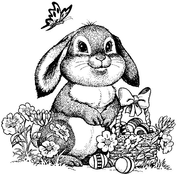 612x605 Easter Bunny Coloring Sheets