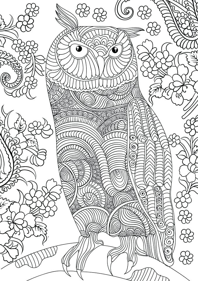 678x960 Colouring Page 3 Owl Colouring Page 3 Owl Coloring Pages Adults