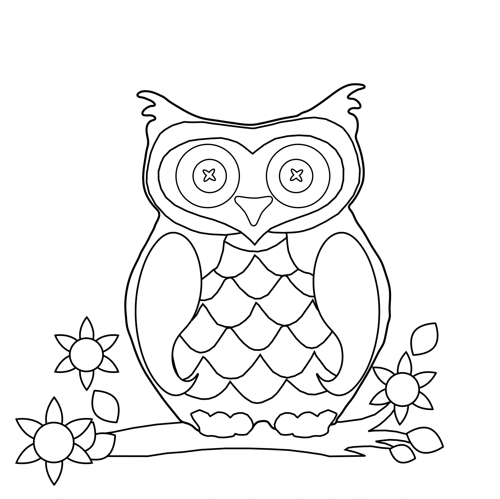 1919x1917 Owl Coloring Page Clipart Free Stock Photo Public Domain Pages