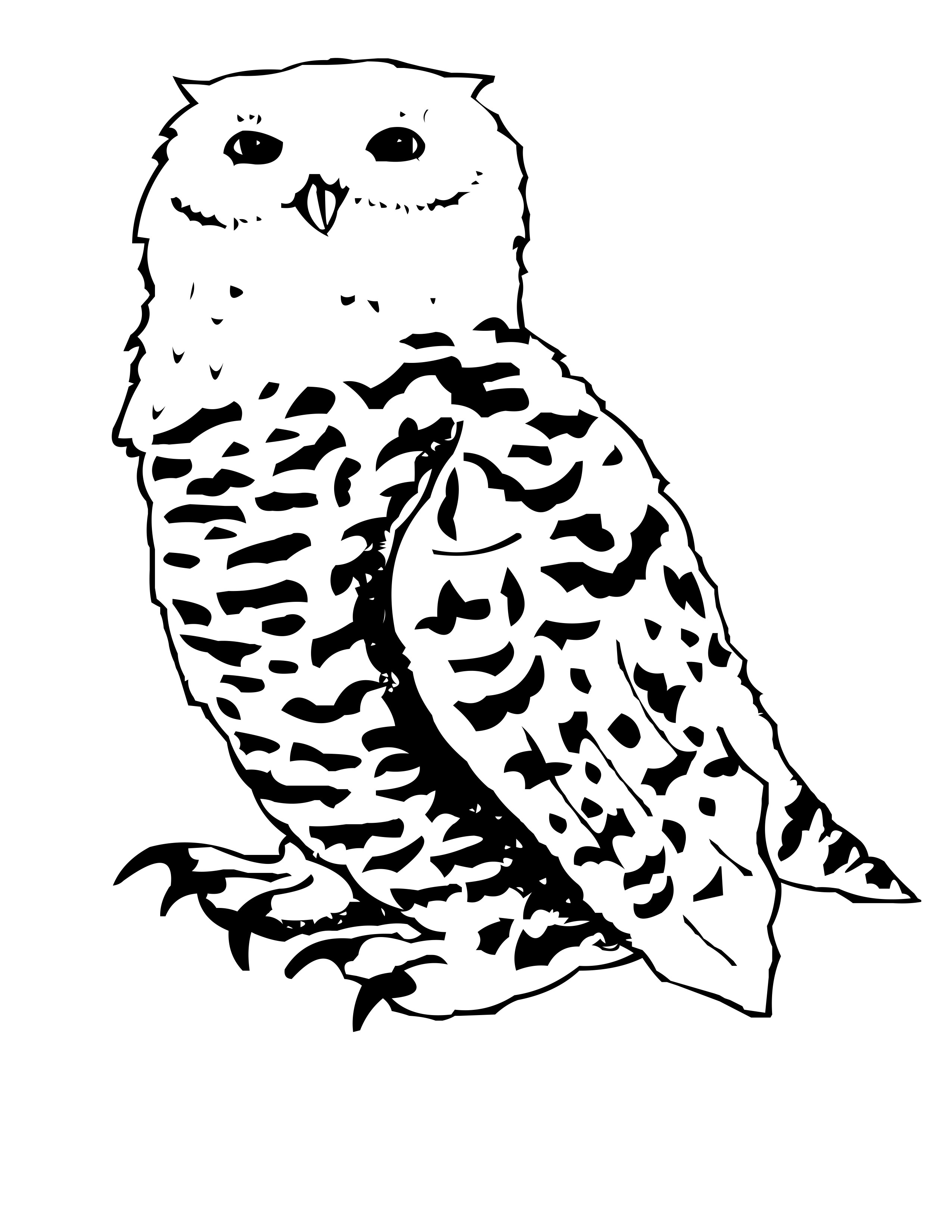 2550x3300 Snowy Owl Coloring Pages Collection