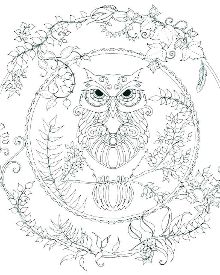 736x919 Snowy Owl Coloring Pages Snowy Owl Coloring Pages Owl Printable