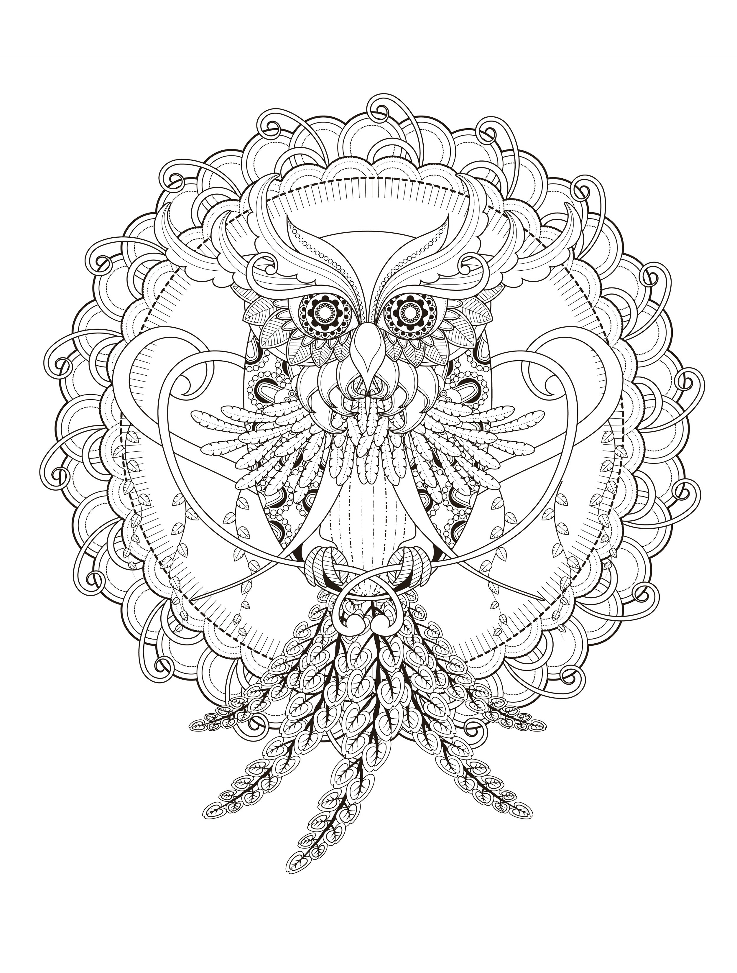 2500x3300 Unique Printable Owl Pictures Free Adult Coloring Pages Download