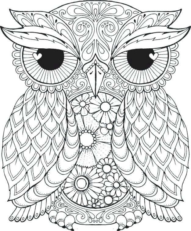 626x755 Cartoon Owl Coloring Pages To Print Printable Free