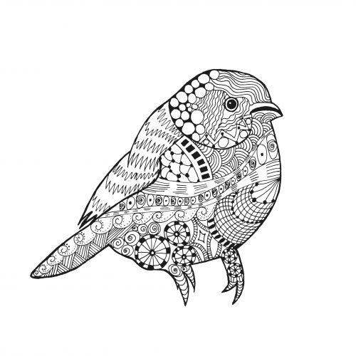 500x500 77 Best Free Advanced Animal Coloring Pages Images