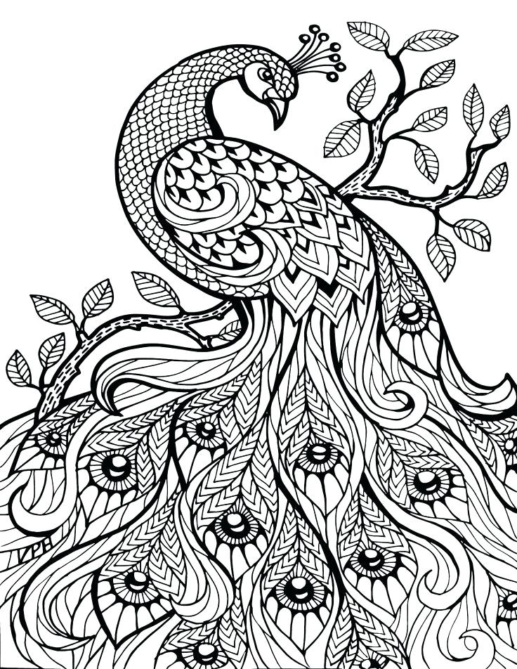 736x952 Advanced Coloring Books For Adults