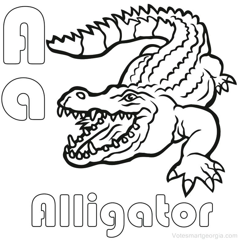 Alligator Coloring Pages Alligator Coloring Pages Printable 787x787 Alligator Coloring Pages Alligator Coloring Pages Printable