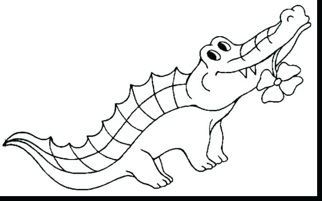 Alligator Coloring Sheets Alligator Color Page Alligator Coloring 660x412 Alligator Coloring Sheets Alligator Color Page Alligator Coloring