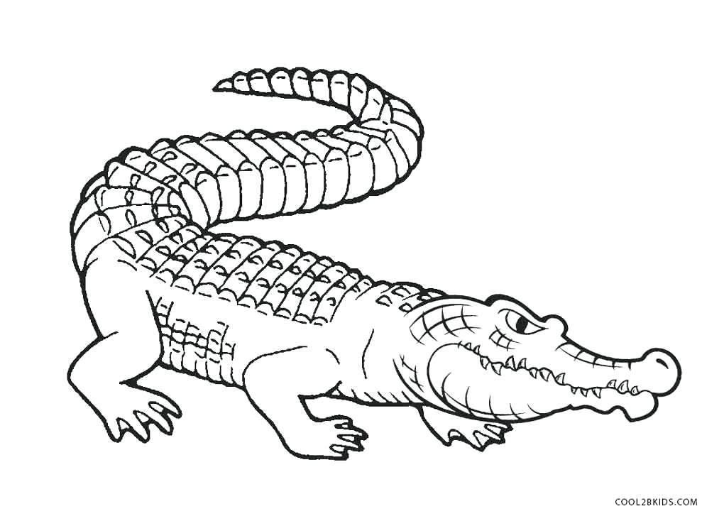 Coloring Page Alligator Alligator Coloring Page Free Printable 1020x734 Coloring Page Alligator Alligator Coloring Page Free Printable