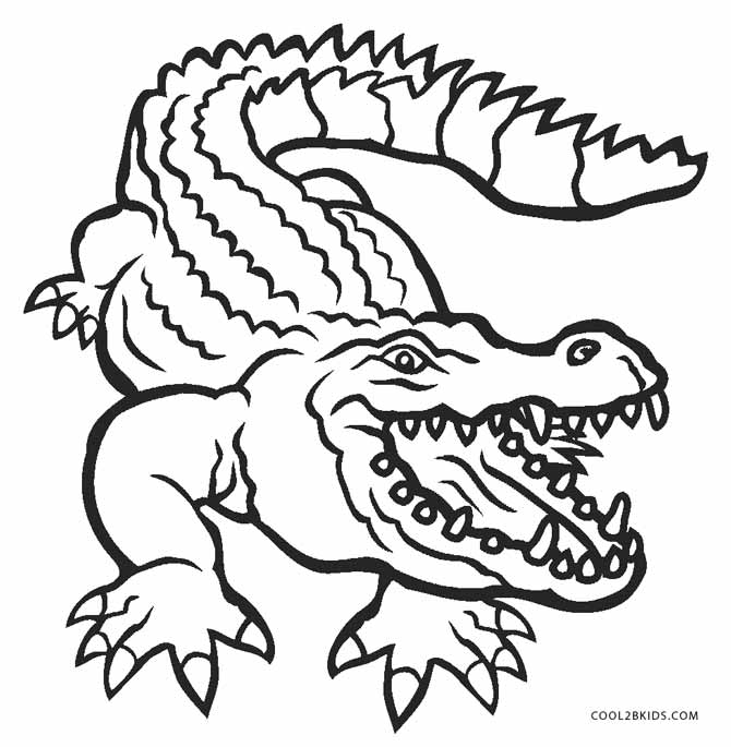 Free Printable Alligator Coloring Pages For Kids Cool2bkids 670x685 Free Printable Alligator Coloring Pages For Kids Cool2bkids