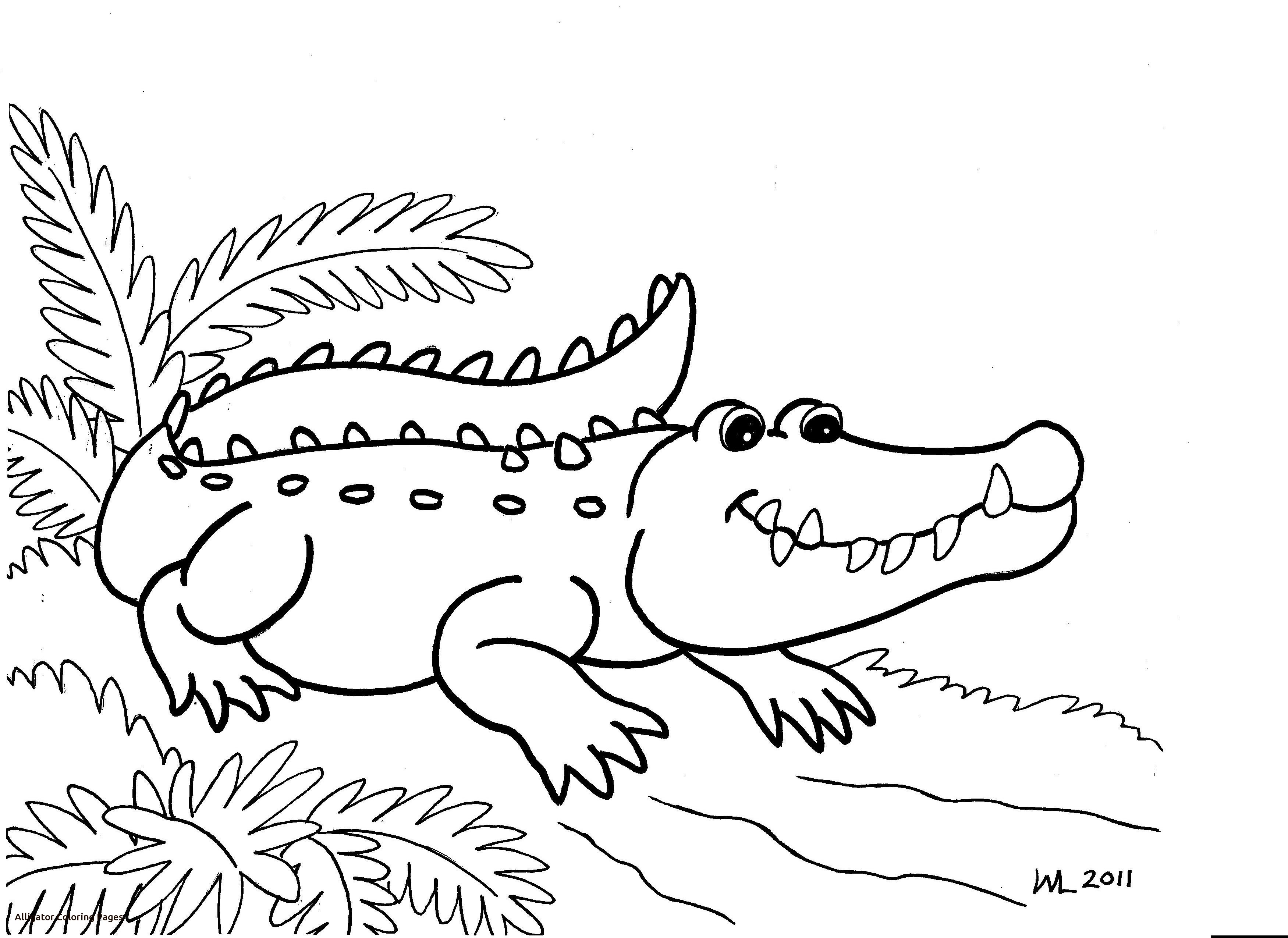 Special American Alligator Coloring Page Cute Free Printable Pages 3501x2550 Special American Alligator Coloring Page Cute Free Printable Pages