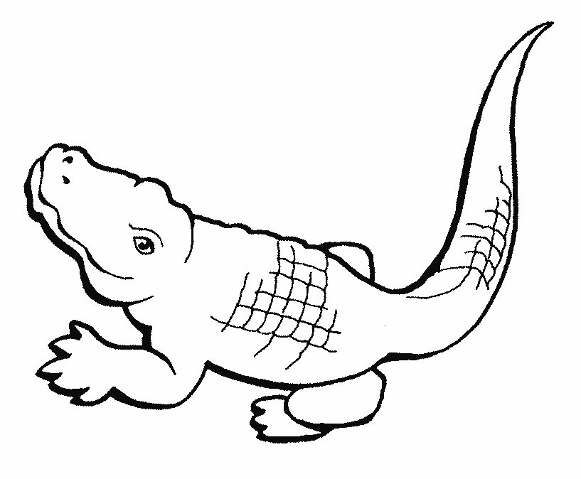 Alligator Coloring Page Beautiful Free Coloring Pages Crocodiles 817x674 Alligator Coloring Page Beautiful Free Coloring Pages Crocodiles