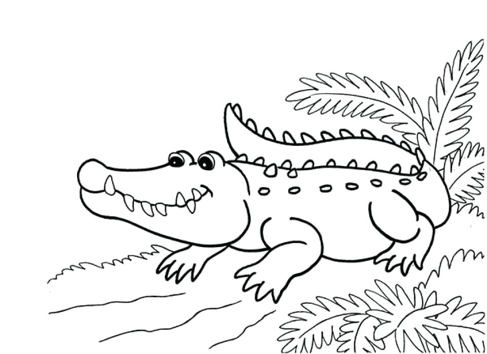 Alligator Coloring Page Free Alligator Coloring Pages Printable 960x699 Alligator Coloring Page Free Alligator Coloring Pages Printable