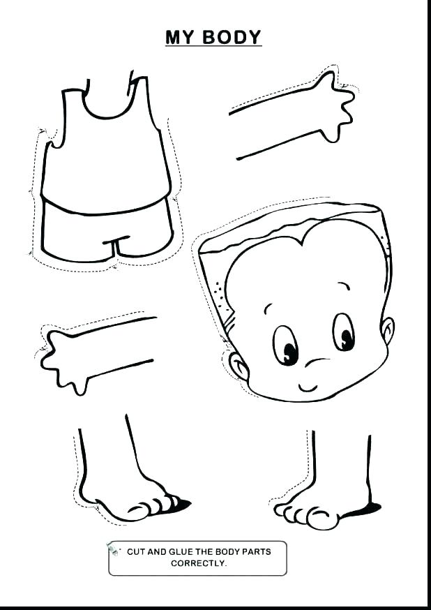 Anatomy Coloring Pages Anatomy And Physiology Coloring Pages Free 618x874 Anatomy Coloring Pages Anatomy And Physiology Coloring Pages Free