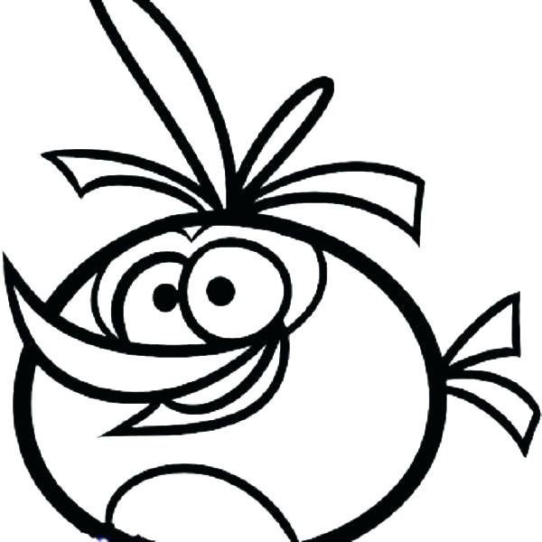 Free Angry Birds Coloring Pages Angry Birds Coloring Pages Free 600x600 Free Angry Birds Coloring Pages Angry Birds Coloring Pages Free