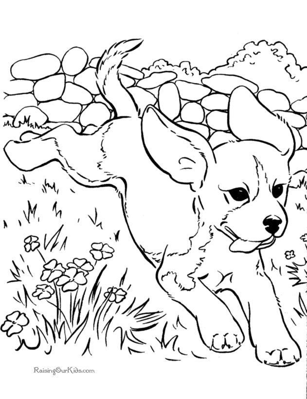 Dogs 101 Coloring Pages Download And Print For Free 631x820 Dogs 101 Coloring Pages Download And Print For Free