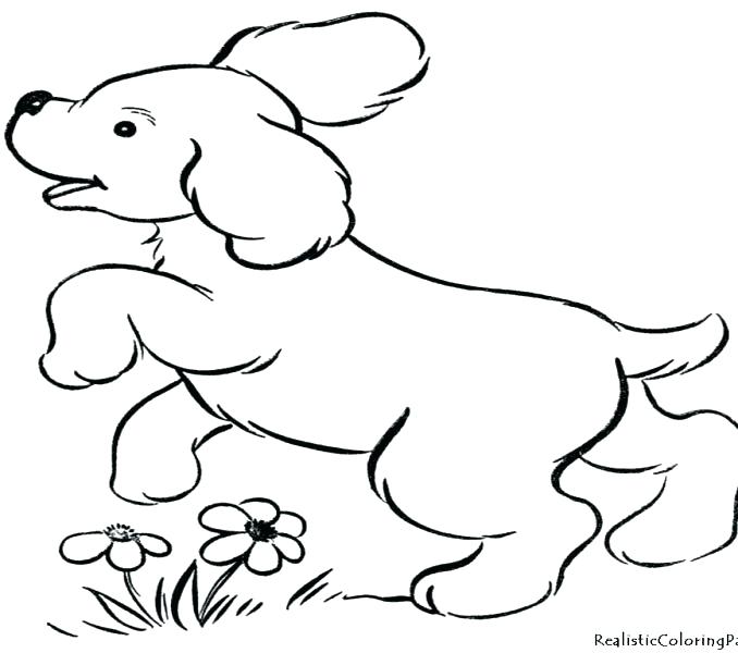 Puppy Dog Coloring Page Dogs Coloring Page Doberman Coloring Page 678x600 Puppy Dog Coloring Page Dogs Coloring Page Doberman Coloring Page